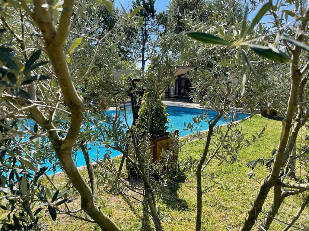 Gite Au Coeur De La Provence & Spa Сан-Кана Екстериор снимка